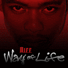 Picture for song 'Gotta Live this life' by artist 'Miff Logic'