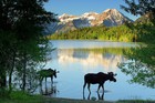 Picture for song 'FAREWELL TO WASATCH (LIVE)' by artist 'Mike Fred'