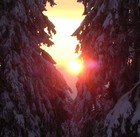 Picture for song 'feeling good' by artist 'MikeSch'