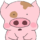 Picture for song 'æµ?¬ˆ· (Miss Pig)' by artist 'mikich'
