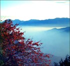 Picture for song 'Ali Shan (cover)' by artist 'Mindy'