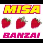 Picture for song 'Banzai' by artist 'mizuki'