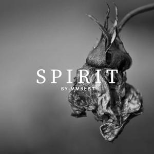 Picture for song '"SPIRIT" - Smooth Trap Soul Hip Hop Beat Chill Ins' by artist 'MMbesT'