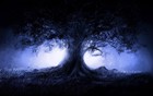 Picture for song 'World Tree' by artist 'Morganstudios'