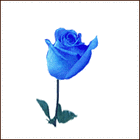 Picture for song 'MISSIN YOU' by artist 'MR SHYLOCC RATED R'