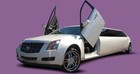 Picture for song 'Nite Lyfe' by artist 'Mr Xclusive'