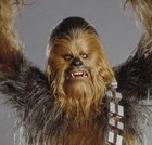 Picture for song 'Wookie Grind' by artist 'Mystery Meat'