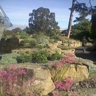 Picture for song ''Let Go'' by artist 'Nadia Cripps'