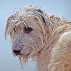 Picture for song 'What Life's All About' by artist 'Nashville Bound'