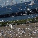 Picture for song 'Fly Away' by artist 'NAYPALM BEATZ'