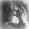 Picture for song 'Psalm 131_JPS_Be stil my Soul' by artist 'newwine'