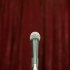 Picture for song 'felony acappella' by artist 'Nick Beans'