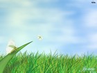Picture for song 'Ambient dnb' by artist 'NickBee'