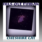 Picture for song 'Cheshire Cat' by artist 'Nils-Ole Finbak'