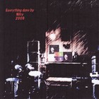 Picture for song 'Wild Geese In Flight' by artist 'Nils-Ole Finbak'