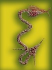 Picture for song 'Aqui en Torrejon' by artist 'nirmanakaya'