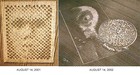 Picture for song 'live to die(first recording)' by artist 'N J Buckingham'