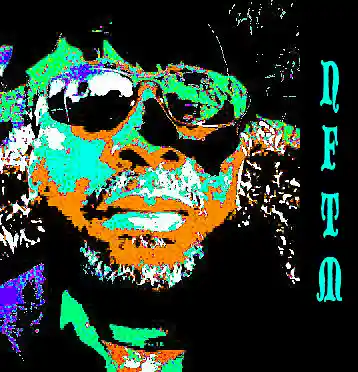 Picture for song 'SLOW Down (ACID Mix)' by artist 'Not For The Mainstream'