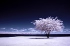 Picture for song 'Summer's Snow ~' by artist 'Nrjetik'