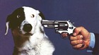 Picture for song 'Dogkiller' by artist 'NSK et Nas R'