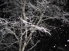 Picture for song 'The Illusion of Seasons' by artist 'One Less Light'