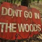 Picture for song 'P1ug - I don't give a fzck' by artist 'P1u9'