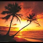 Picture for song 'Be' by artist 'Pcast'