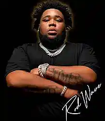 Picture for song 'Rod Wave Type Beat Too Far Gone' by artist 'pconthatrack'