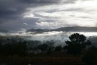 Picture for song 'In de Early Morning' by artist 'peddy d'