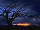 Picture for song 'NOCHE(NIGTH)' by artist 'PERUFOLK'