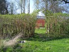 Picture for song 'My garden in April' by artist 'peter thorn'
