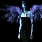 Picture for song 'Angels We Have Heard On High' by artist 'Phuckpuppet'