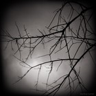 Picture for song 'In Memorandum' by artist 'PJ Sky'
