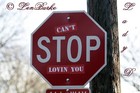 Picture for song 'Cant stop loving you FEAT Lady D' by artist 'Plaza7'