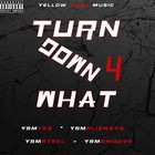 Picture for song '808 Mafia Type' by artist 'Pliznaya YBM'