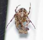 Picture for song 'Kems, Norres feat. MC-T BenYahMin' by artist 'PNR Records'