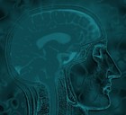 Picture for song 'Pure' by artist 'Post Mordem Productions'