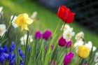 Picture for song 'The Hope of Spring' by artist 'Prairie Breeze'