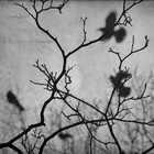 Picture for song 'JUNE 2013 TOXIC SOUP' by artist 'PRAYERS FOR RAIN'