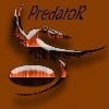 Picture for song 'Warum bist du nicht bei mir?' by artist 'PredatoR (first in GER)'
