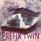 Picture for song 'Prefix_twin (3)' by artist 'Prefix twin'