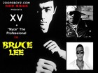 Picture for song 'Bruce_Lee_-_XV_feat_Nyce' by artist 'Proz Entertainment'