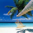 Picture for song 'Chillax' by artist 'P-Scat Beats'