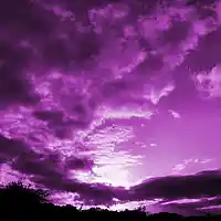 Picture for song 'Strange Clouds' by artist 'PureBread Pro'