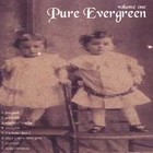 Picture for song 'Worn-Out' by artist 'Pure Evergreen'