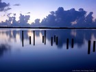 Picture for song 'CALM COLLECTIVE (smooth)' by artist 'PURPS BEATS'