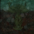 Picture for song 'Plasma Thaw' by artist 'Queen Elephantine'