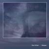 Picture for song 'Traveler' by artist 'Ran Kirlian'