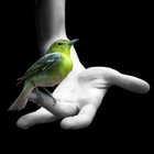 Picture for song '- ThaKardinaLBeats - Let it go now' by artist 'Raydenzbeats'