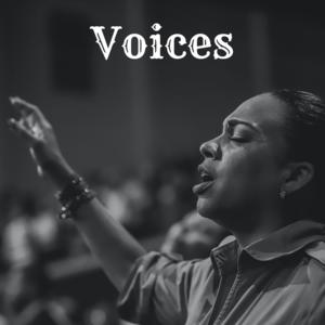 Picture for song 'Voices' by artist 'realjuicybeats'